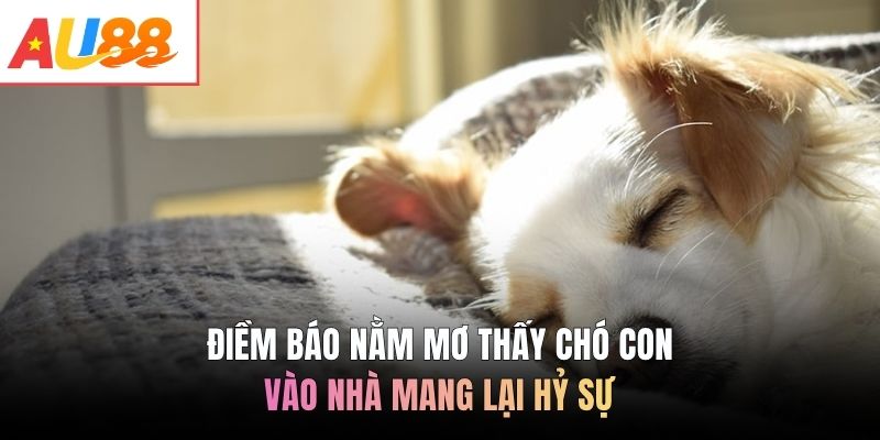 Điềm báo nằm mơ thấy chó con vào nhà mang lại hỷ sự
